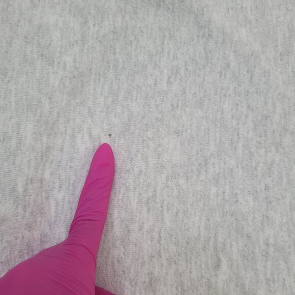 Champion Reverse-Weave Sweatshirt Large 24x25 Baggy Gray - Picture 10 of 15